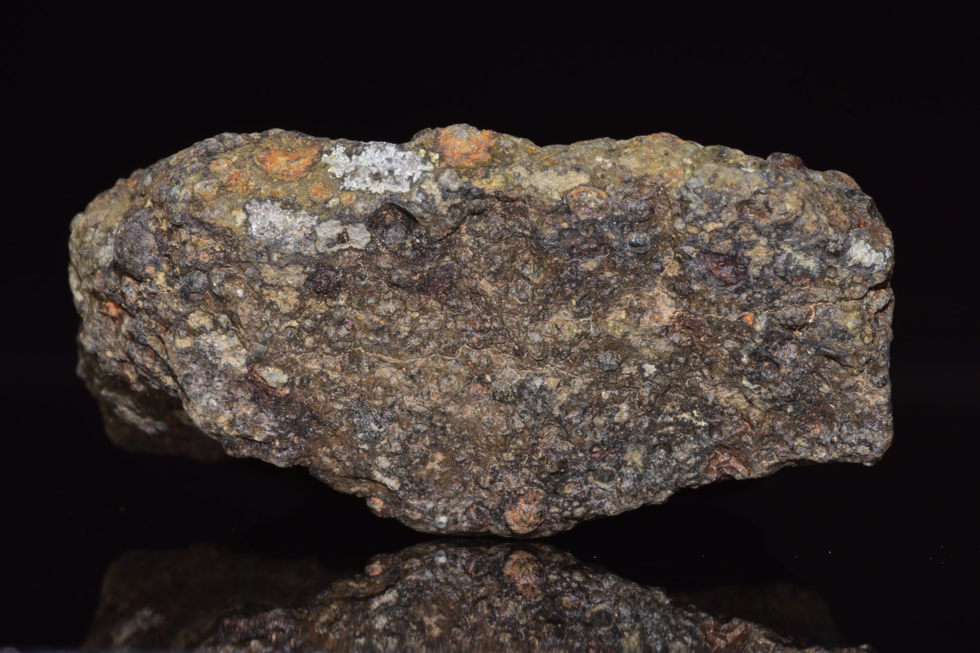 NWA 14004 – CV3 Carbonaceous Chondrite Fragment&nbsp;