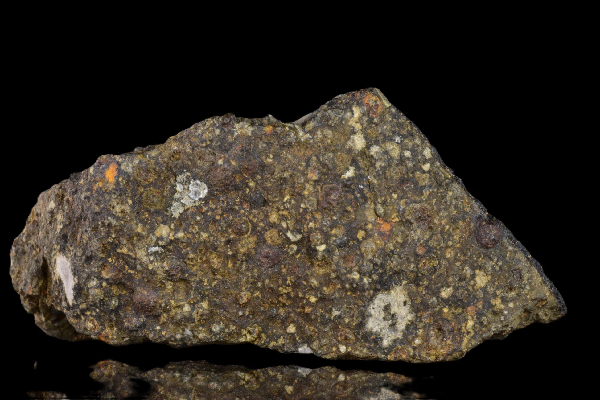 Fragment of NWA 14004 CV3 meteorite, 32.40 grams, showing metallic and rocky textures, from Buy Meteorite, LLC.