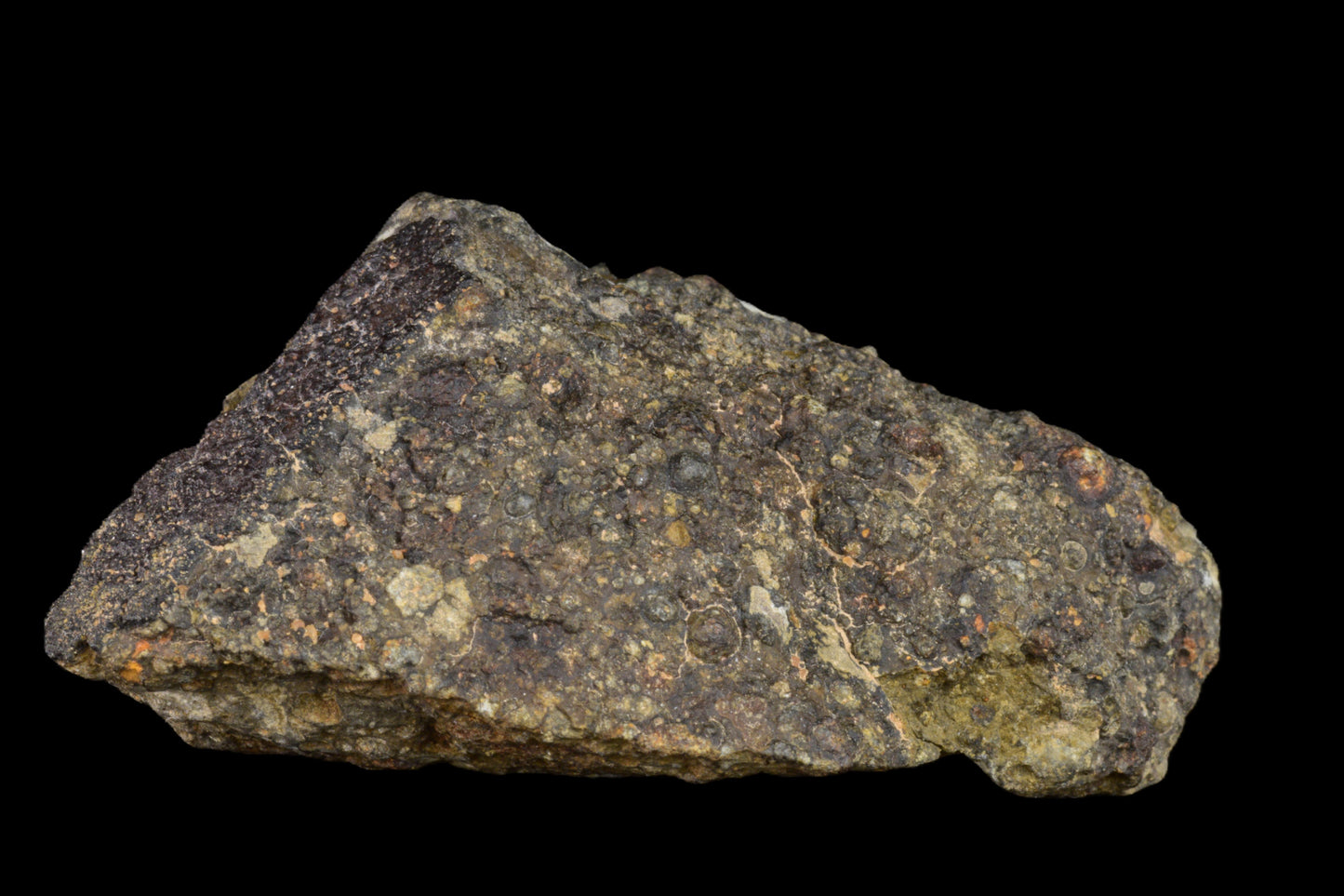 Fragment of NWA 14004 CV3 meteorite, showing metal and mineral textures, weighing 32.40 grams, from Buy Meteorite LLC.