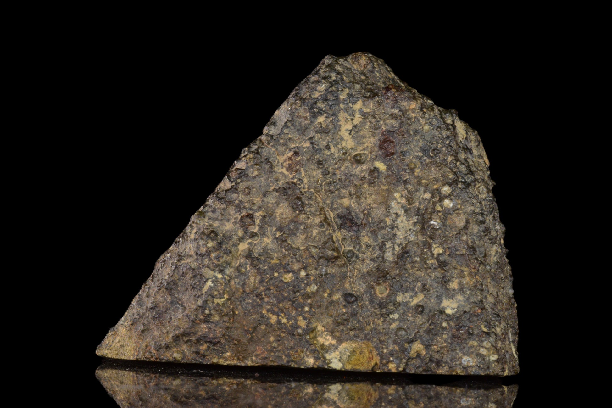 Close-up of NWA 14004 CV3 meteorite endcut with a 60.38g weight, showing dark, textured surface and natural mineral features.