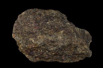 Fragment of NWA 14004 CV3 meteorite, 24.79 grams, showing metallic and mineral textures, from Buy Meteorite, LLC.