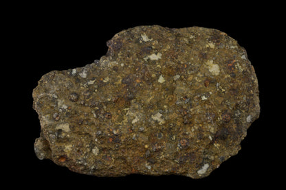 NWA 14004 CV3 meteorite fragment weighing 24.79 grams, showing metallic and rocky surface details.