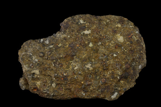 NWA 14004 CV3 meteorite fragment weighing 24.79 grams, showing metallic and rocky surface details.