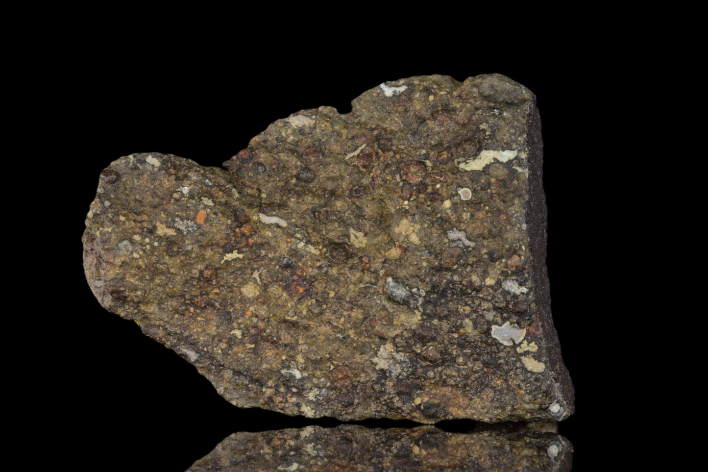Fragment of NWA 14004 CV3 meteorite showcasing dark, metallic surface with fusion crust, weighs 42.63 grams, from Buy Meteorite, LLC.