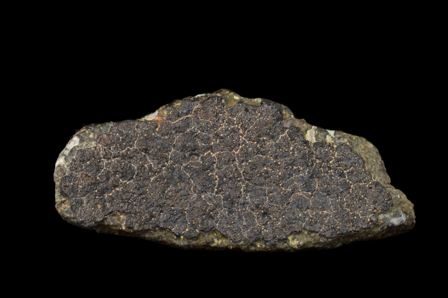 Fragment of NWA 14004 CV3 meteorite, 42.63 grams, showing metallic and rocky surface textures.