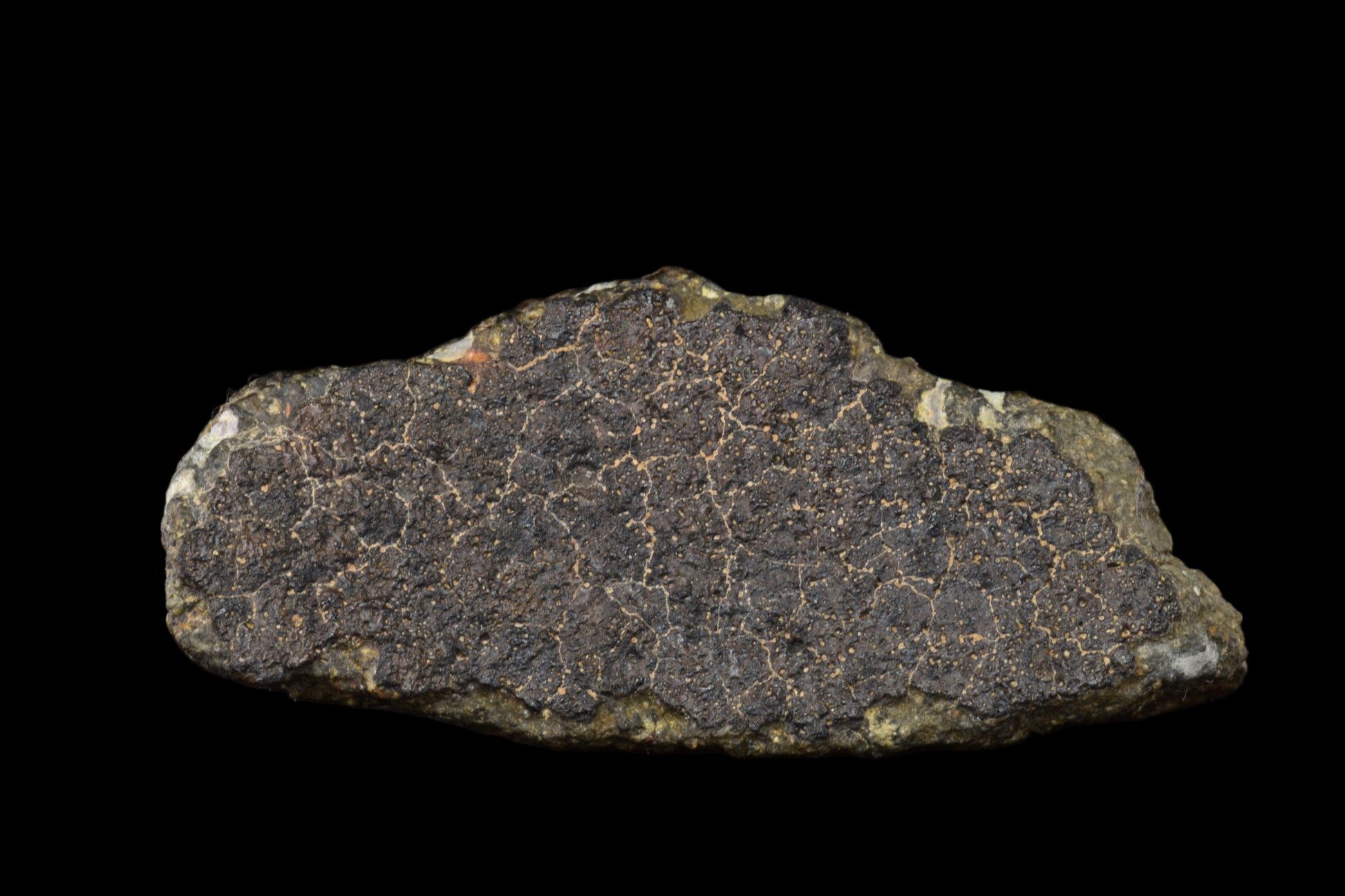 Fragment of NWA 14004 CV3 meteorite, 42.63 grams, showing metallic and rocky surface textures.