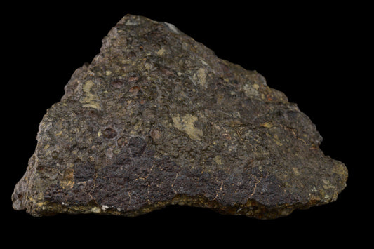 Fragment of NWA 14004 CV3 meteorite showing dark, rough surface with mineral inclusions, weighs 64.80 grams.