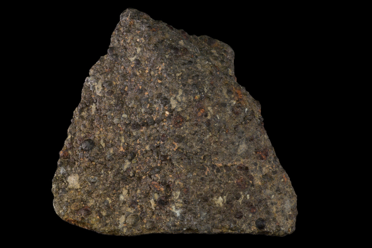 Fragment of NWA 14004 CV3 meteorite, 86.17 grams, showing rough, dark surface with mineral inclusions, from Buy Meteorite, LLC.