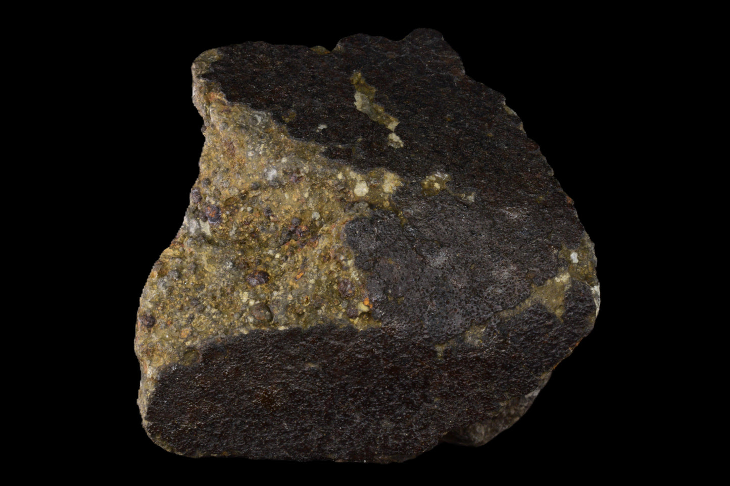 Fragment of NWA 14004 CV3 meteorite weighing 86.17 grams, showcasing dark fusion crust and rocky interior.