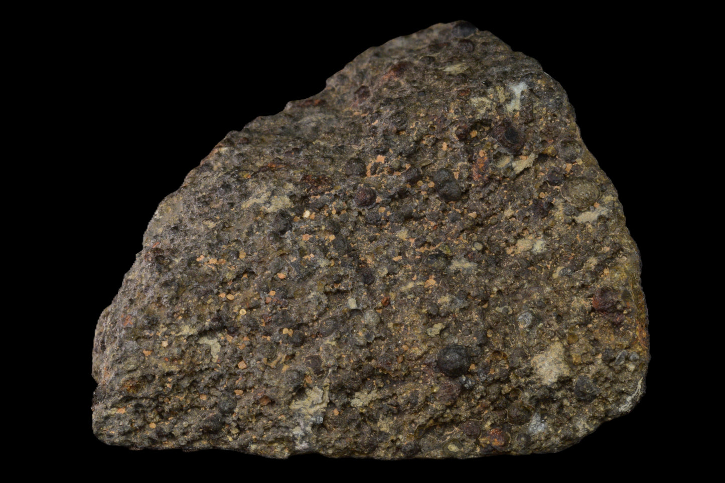 Meteorite fragment NWA 14004 CV3 from Buy Meteorite, LLC, showing a 86.17g piece with textured, dark, and metallic surface details.