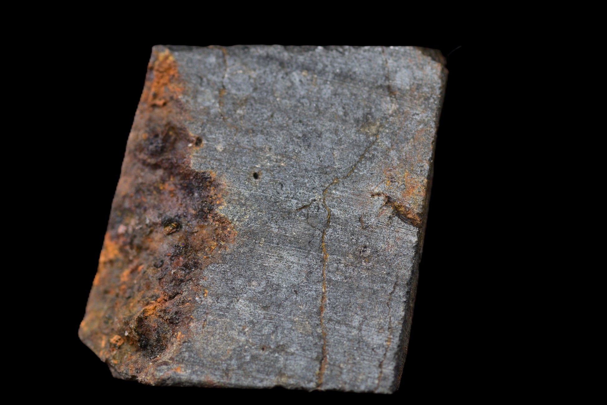 NWA 14224 LL3 meteorite slice showing metallic and mineral inclusions, weighing 1.52 grams, from Buy Meteorite LLC.