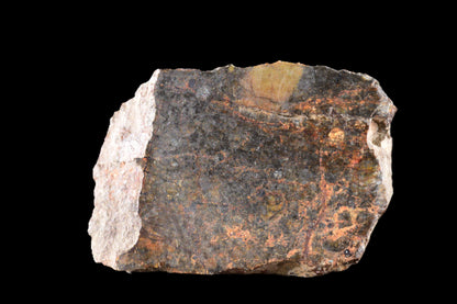 NWA 14224 LL3 meteorite slice weighing 1.57 grams, showcasing its dark, textured surface and mineral details.