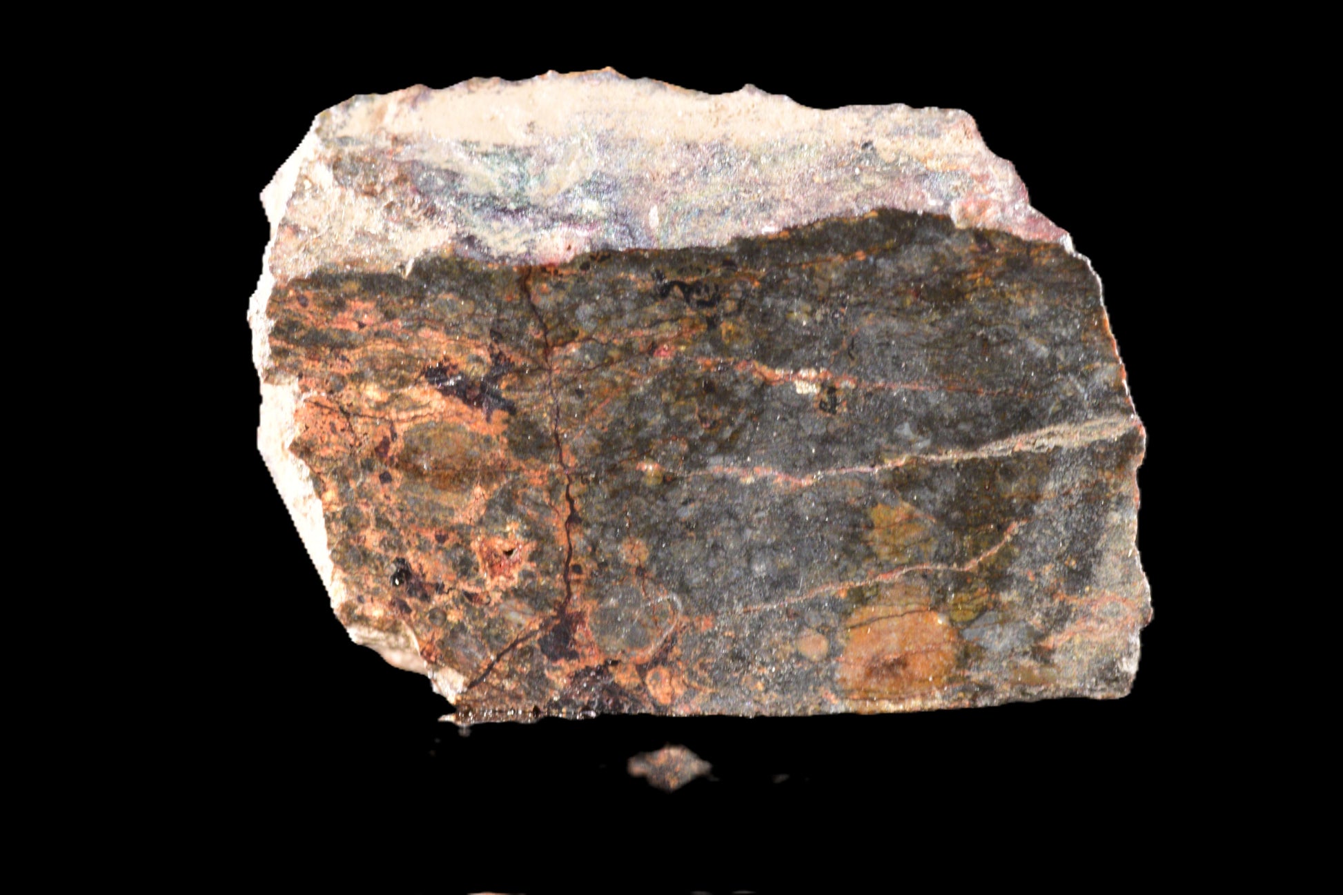 NWA 14224 LL3 meteorite slice from Buy Meteorite, LLC, showing a 1.57g fragment with metallic and mineral textures.