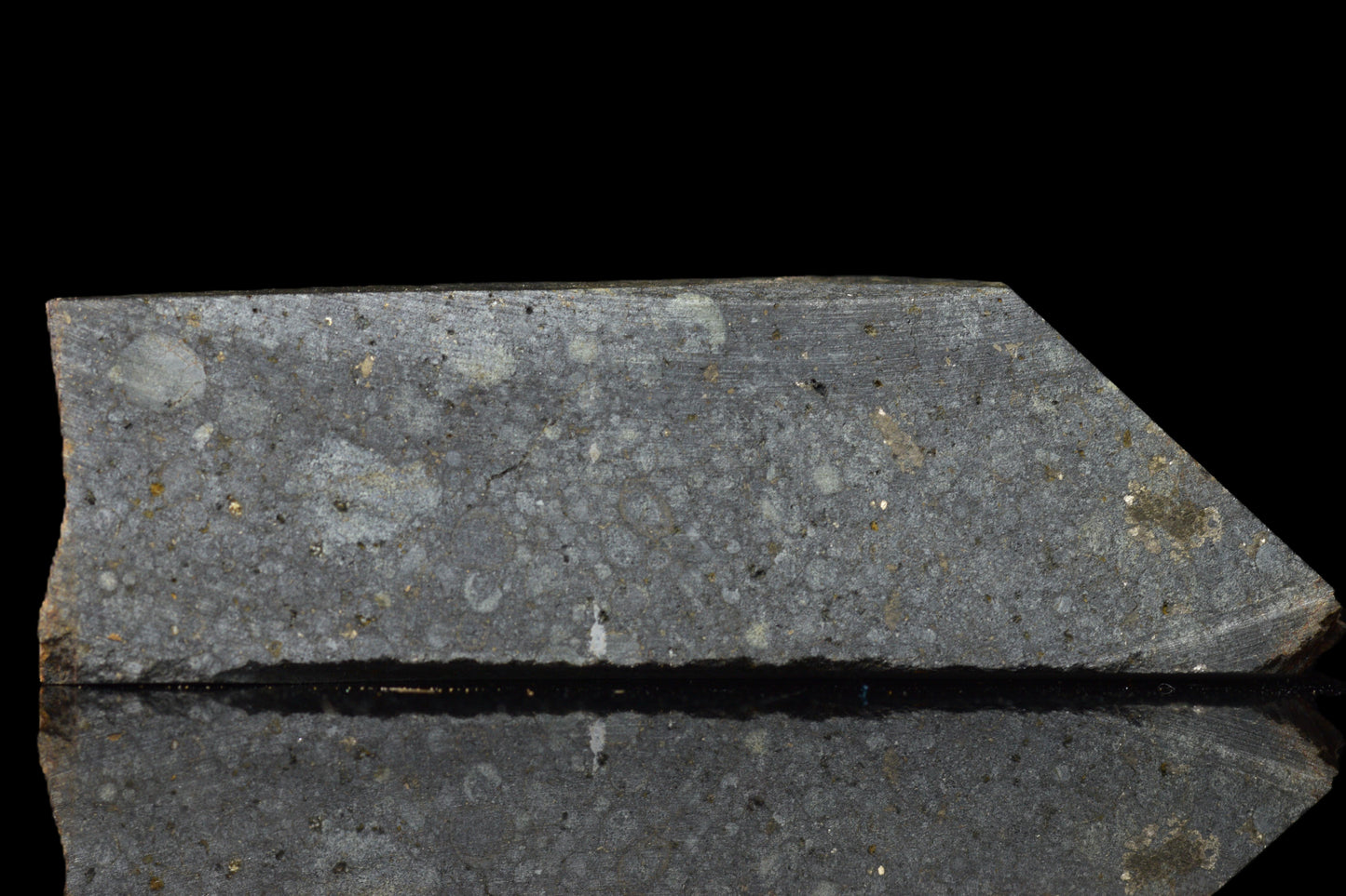 NWA 14224 LL3 meteorite slice showing metallic and crusty surface with a weight of 13.19 grams.