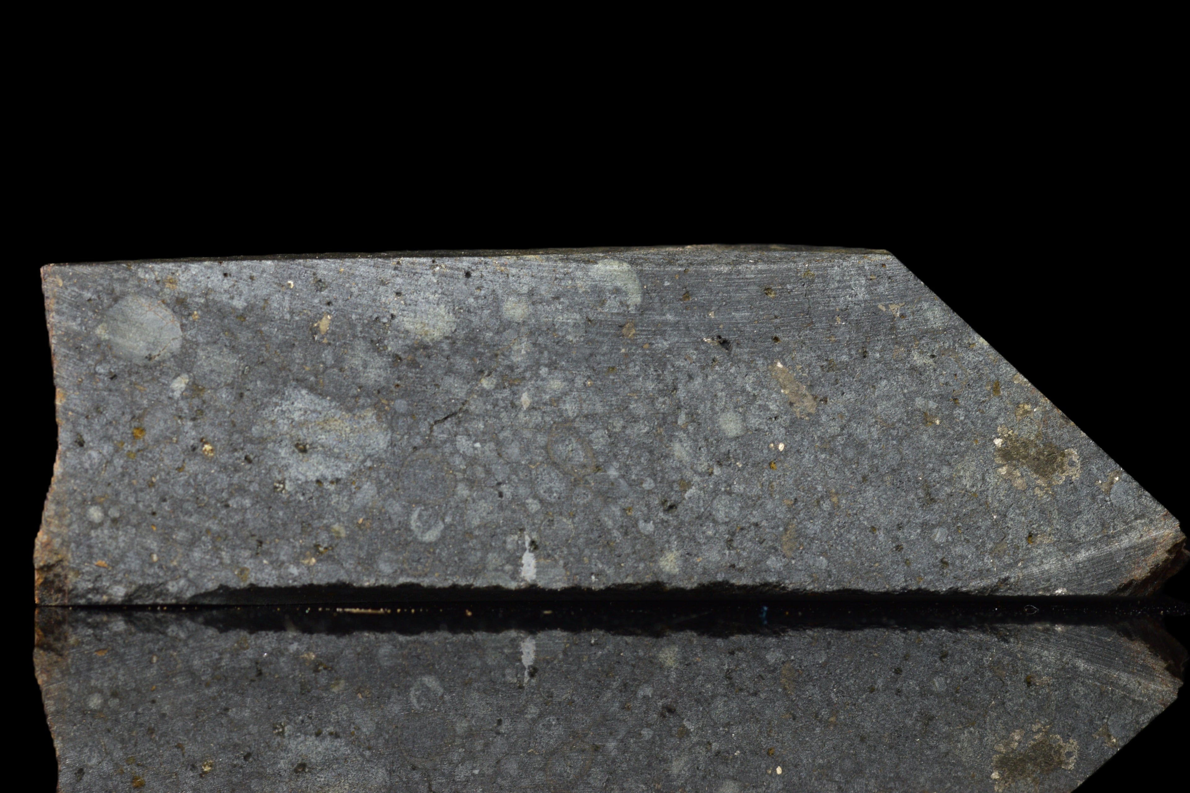 NWA 14224 LL3 Slice 13.19 G