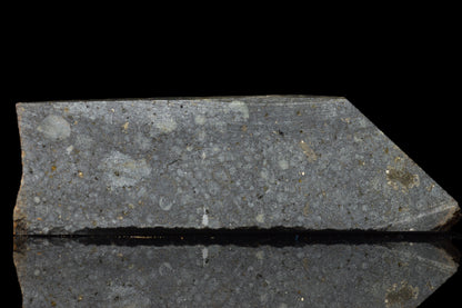 NWA 14224 LL3 meteorite slice showing metallic and crusty surface with a weight of 13.19 grams.