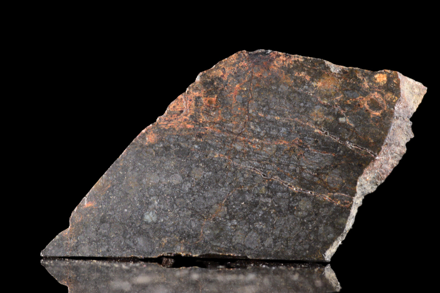 NWA 14224 LL3 meteorite slice weighing 2.14 grams, showing dark fusion crust and metallic mineral textures.