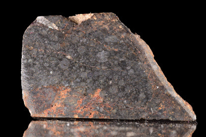 NWA 14224 LL3 meteorite slice from Buy Meteorite, LLC, showing dark fusion crust and metallic mineral interior, weight 2.53 grams.