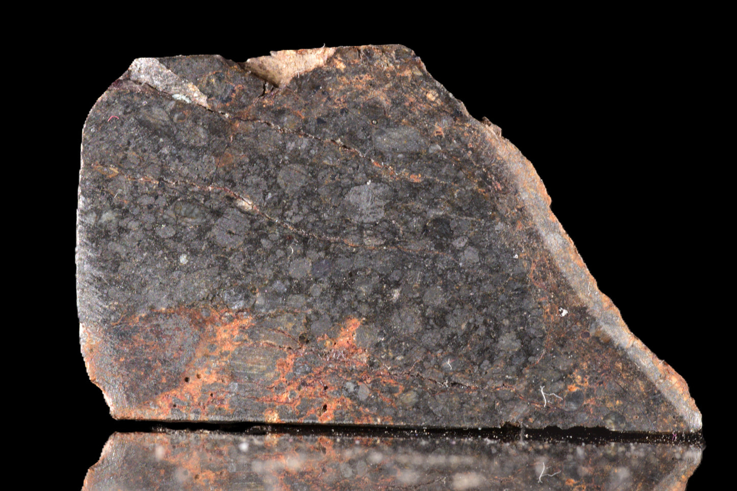 NWA 14224 LL3 meteorite slice weighing 2.53 grams, showing metallic and crusted surface details, from Buy Meteorite, LLC.