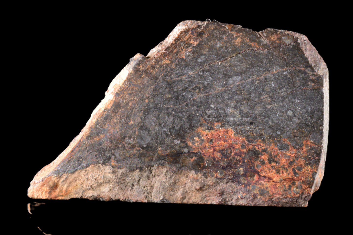 NWA 14224 LL3 meteorite slice weighing 2.53 grams, showing dark fusion crust and metallic mineral inclusions.