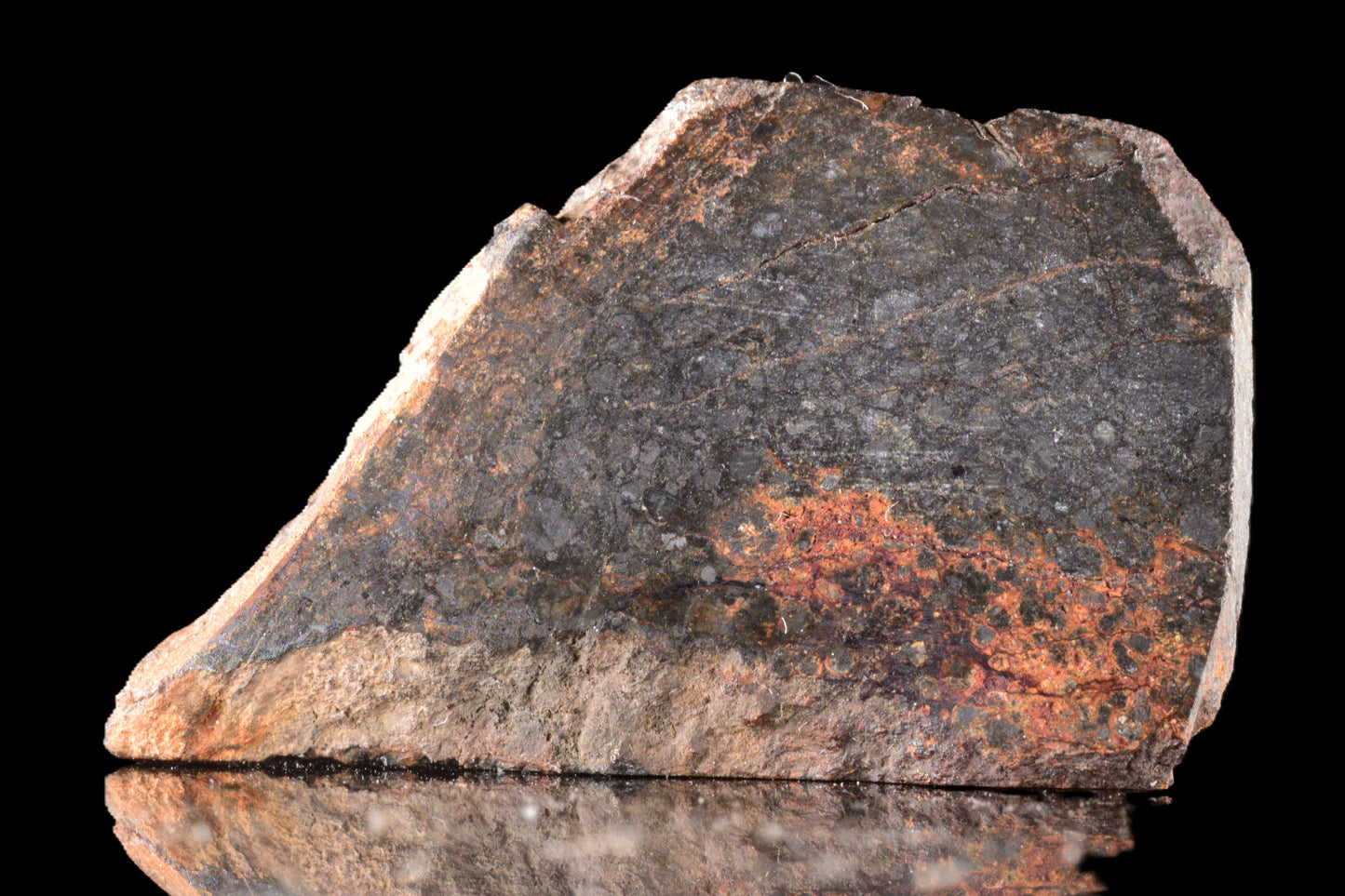 Slice of NWA 14224 LL3 meteorite weighing 2.53 grams, showcasing its dark, textured surface and mineral inclusions.