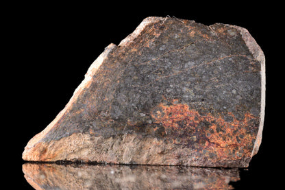 Slice of NWA 14224 LL3 meteorite weighing 2.53 grams, showcasing its dark, textured surface and mineral inclusions.