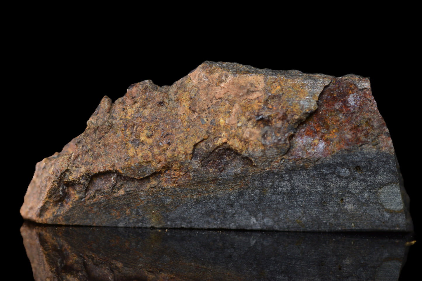 NWA 14224 LL3 meteorite slice weighing 2.90 grams, showcasing dark fusion crust and metallic interior.