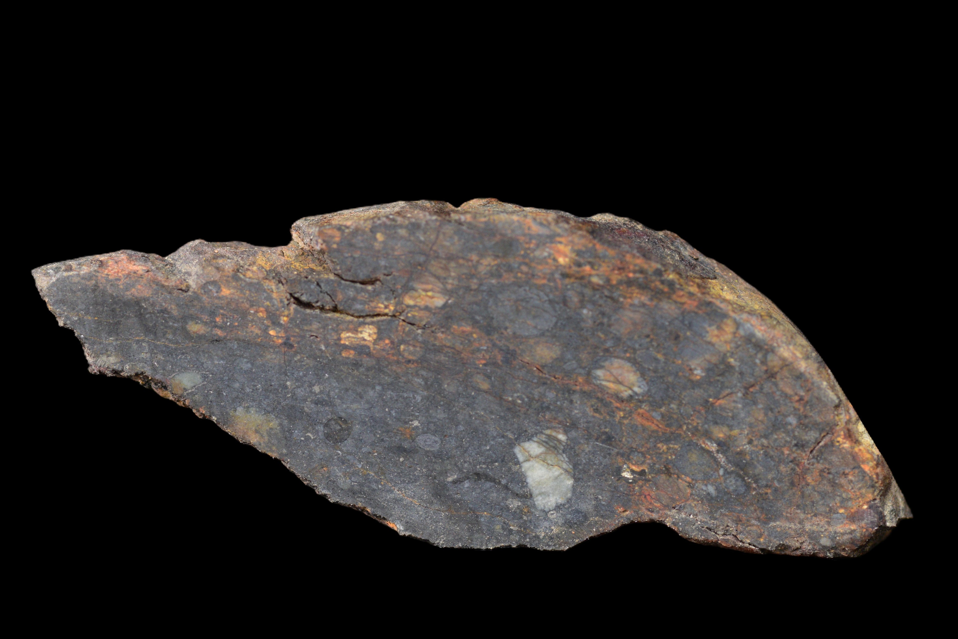 NWA 14224 LL3 Slice 2.96 G