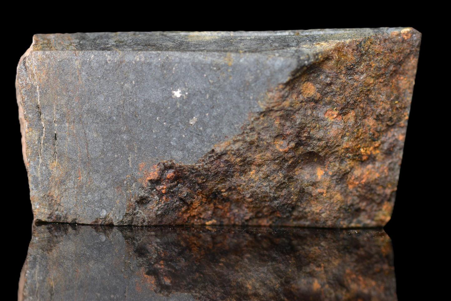 NWA 14224 LL3 meteorite slice from Buy Meteorite, LLC, showing dark fusion crust and metallic mineral inclusions.