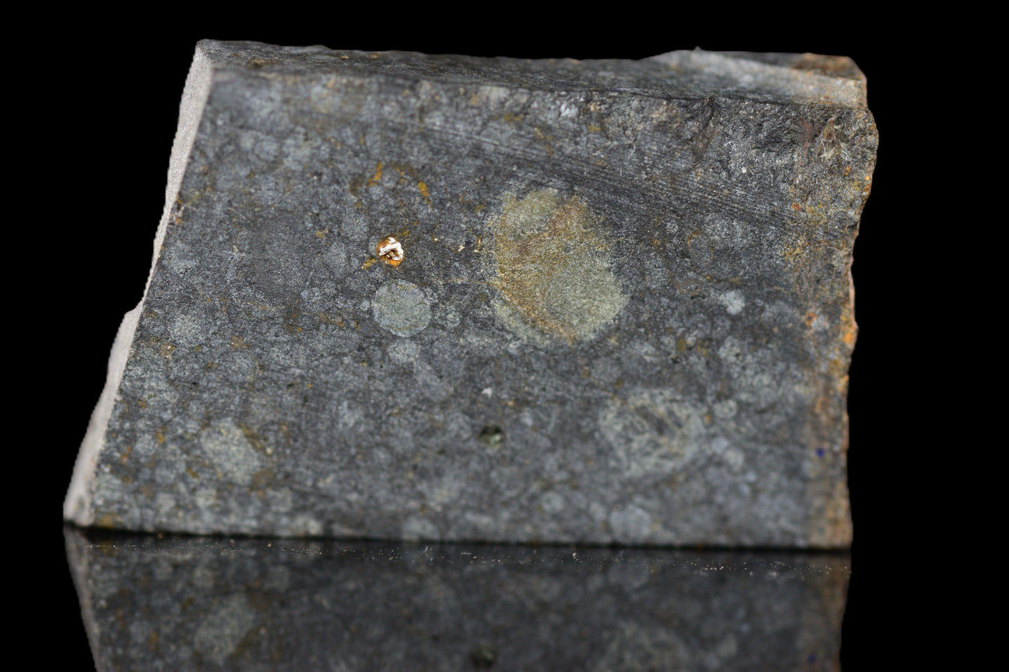 NWA 14224 LL3 meteorite slice weighing 4.07 grams, showing metallic and rocky textures, from Buy Meteorite, LLC.