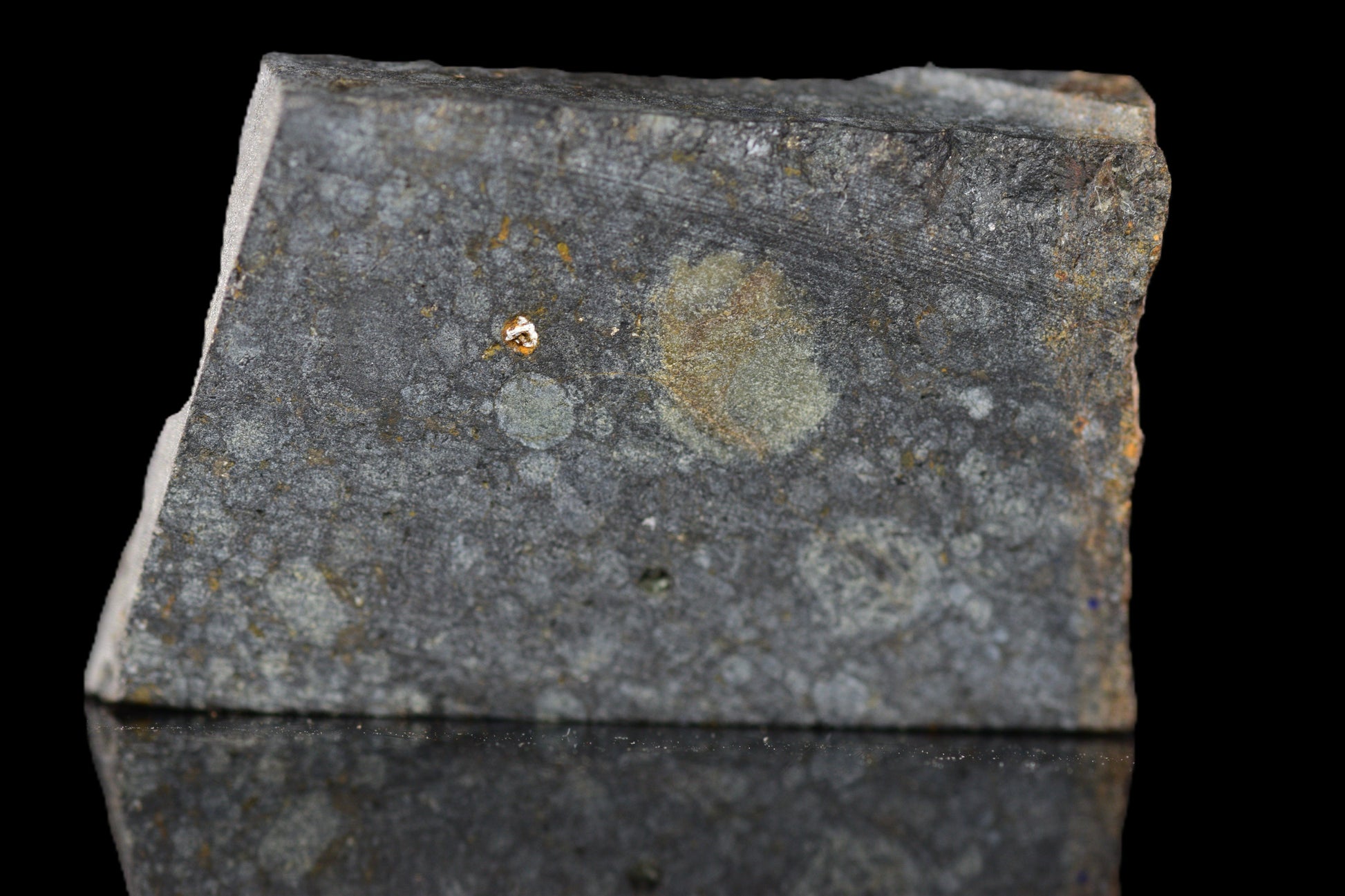 NWA 14224 LL3 meteorite slice weighing 4.07 grams, showing metallic and rocky textures, from Buy Meteorite, LLC.
