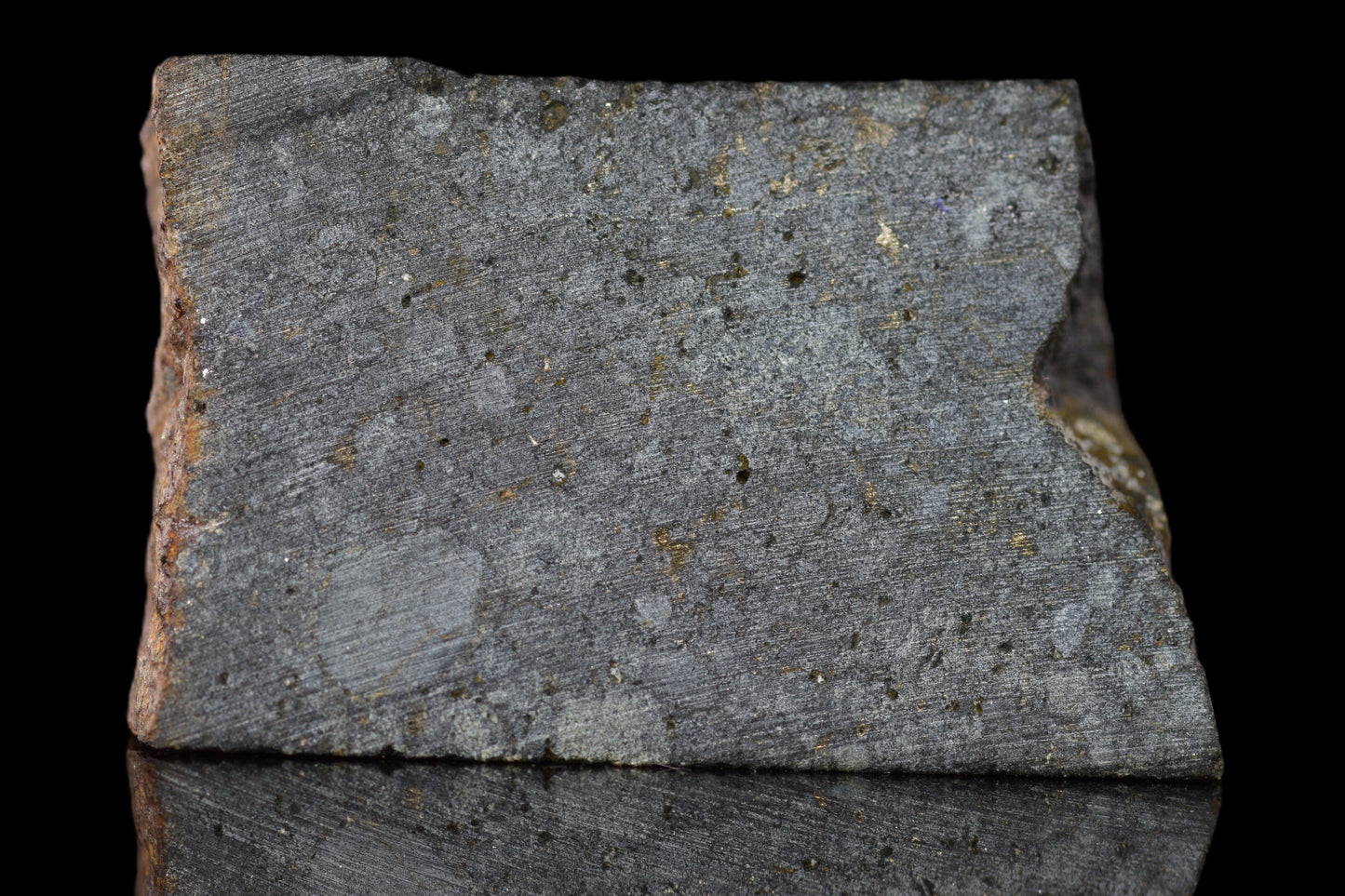 NWA 14224 LL3 meteorite slice weighing 4.07 grams with a dark, textured surface and metallic mineral inclusions.
