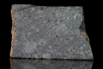 NWA 14224 LL3 meteorite slice weighing 4.07 grams with a dark, textured surface and metallic mineral inclusions.