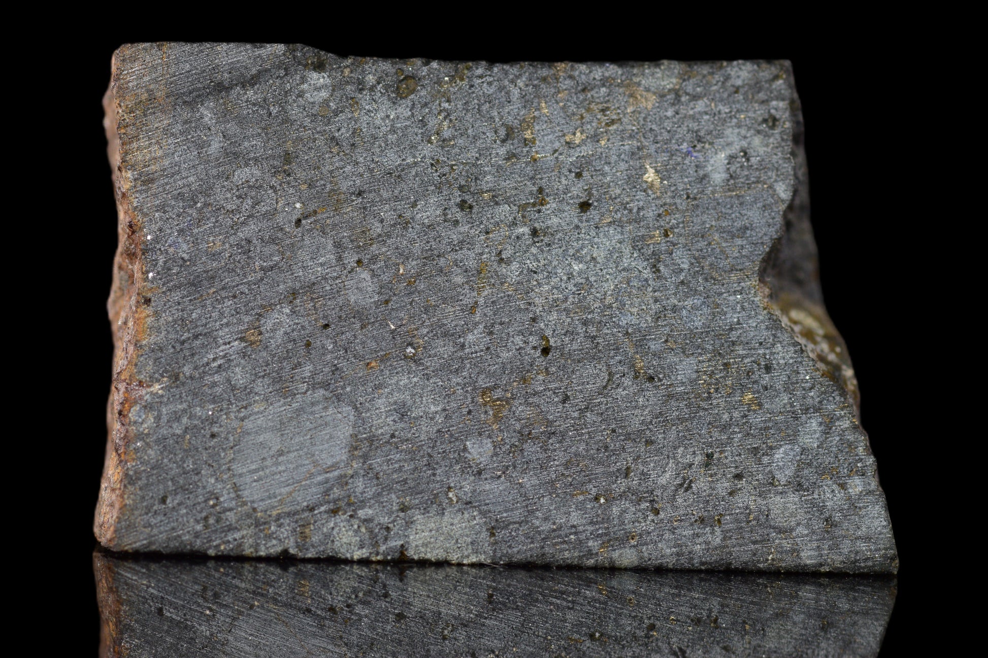 NWA 14224 LL3 meteorite slice from Buy Meteorite, LLC, showing dark fusion crust and metallic mineral interior, weighs 4.07 grams.