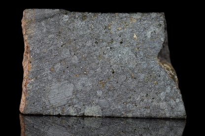 NWA 14224 LL3 meteorite slice from Buy Meteorite, LLC, showing dark fusion crust and metallic mineral interior, weighs 4.07 grams.