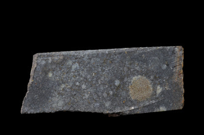 NWA 14224 LL3 meteorite slice weighing 4.24 grams, showing dark fusion crust and metallic mineral interior.