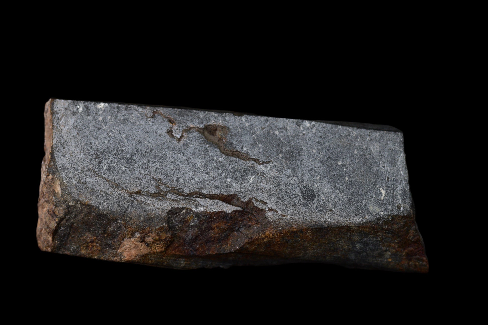 NWA 14224 LL3 meteorite slice weighing 4.24 grams, showing metallic and rocky textures, from Buy Meteorite, LLC.
