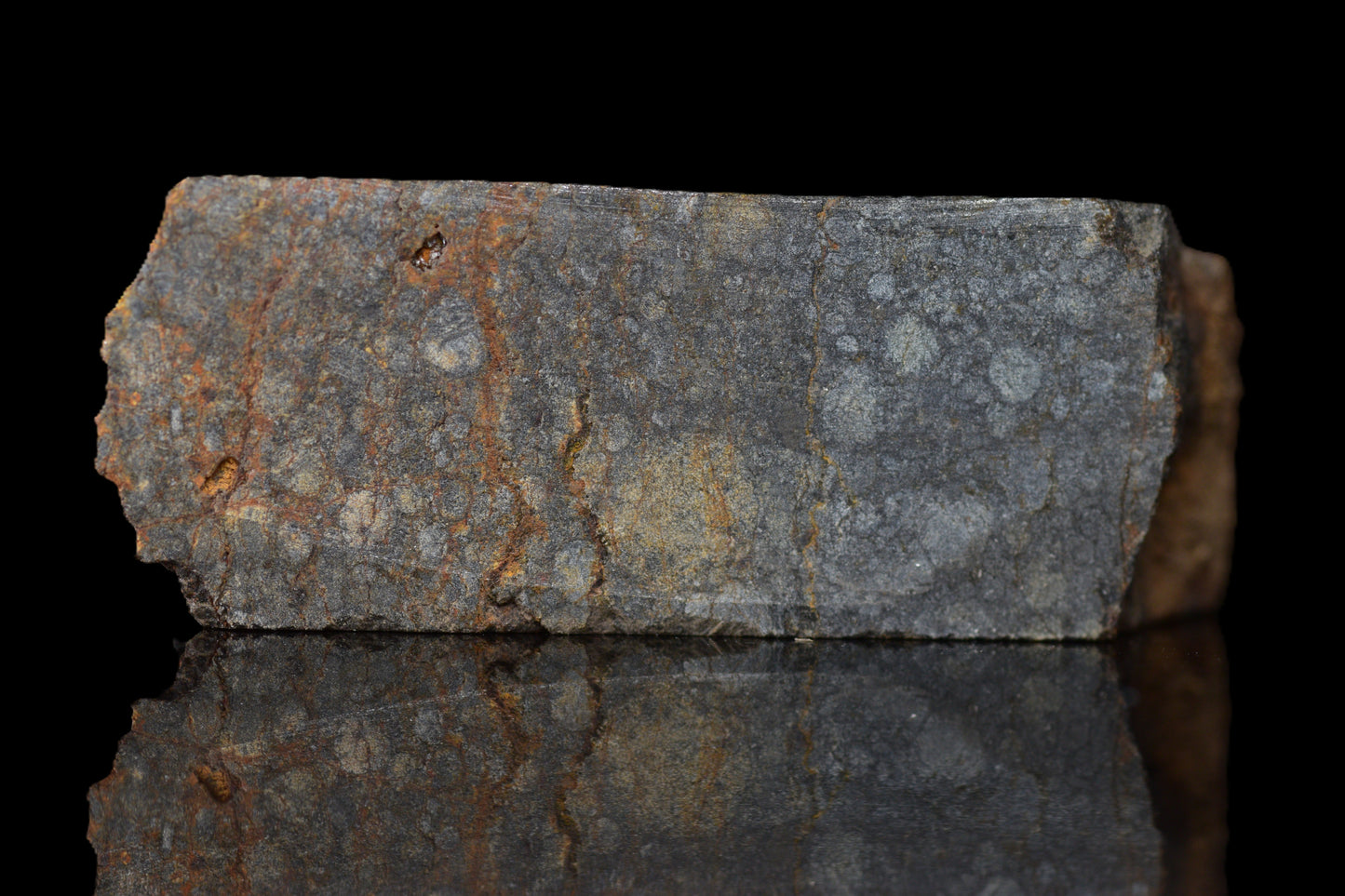 NWA 14224 LL3 meteorite slice weighing 5.35 grams, showing metallic and stone matrix textures, from Buy Meteorite, LLC.