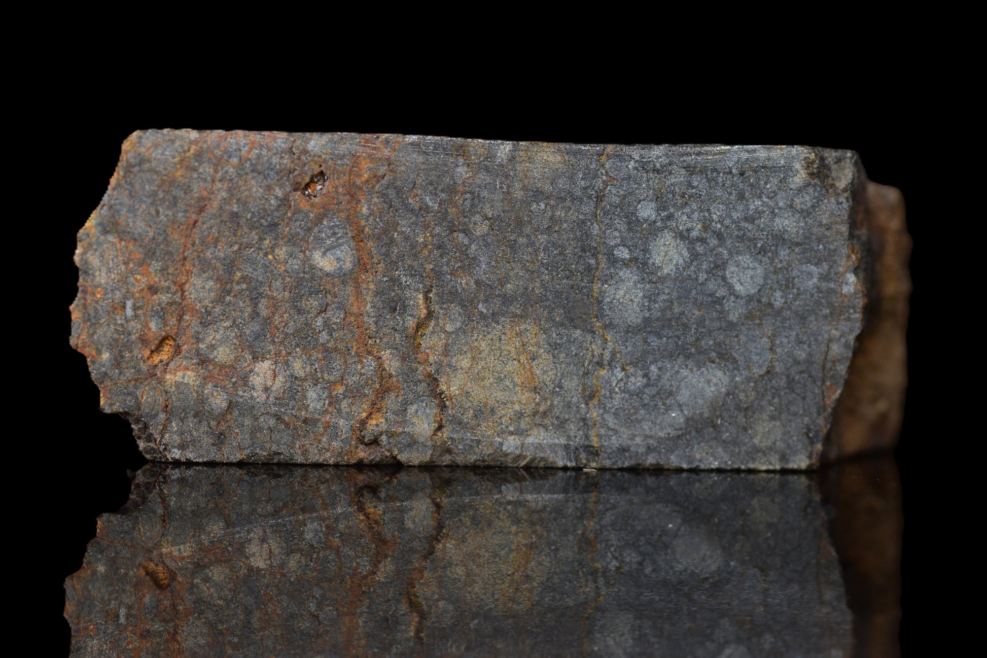 NWA 14224 LL3 meteorite slice weighing 5.35 grams, showing metallic and stone matrix textures, from Buy Meteorite, LLC.