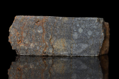 NWA 14224 LL3 meteorite slice weighing 5.35 grams, showing metallic and stone matrix textures, from Buy Meteorite, LLC.