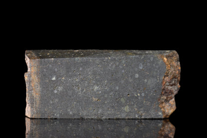Lunar meteorite NWA 14224 LL3 slice weighing 5.60g, showing metallic matrix and dark fusion crust.