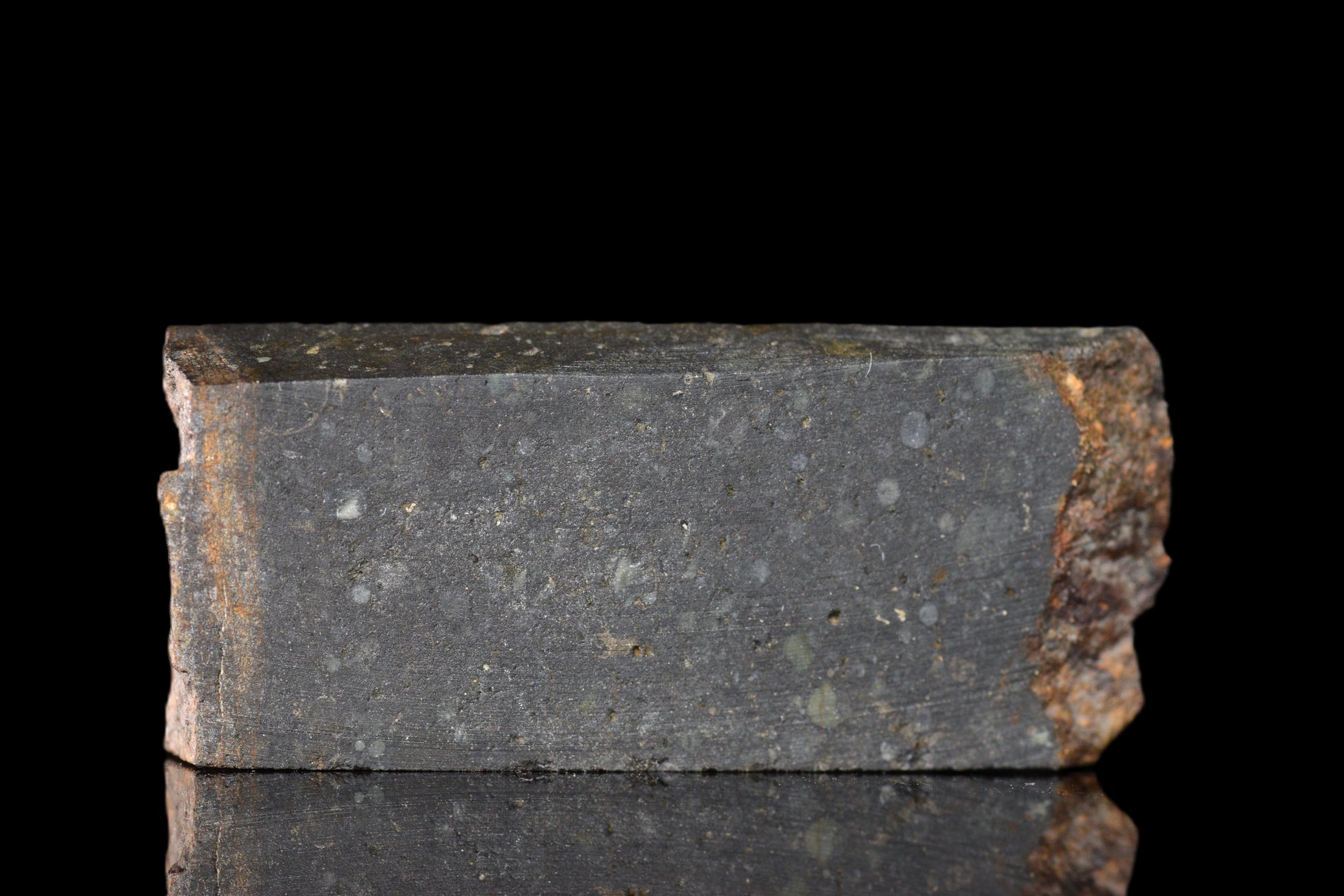 Slice of NWA 14224 LL3 meteorite weighing 5.60 grams, showing a dark fusion crust and metallic mineral interior.