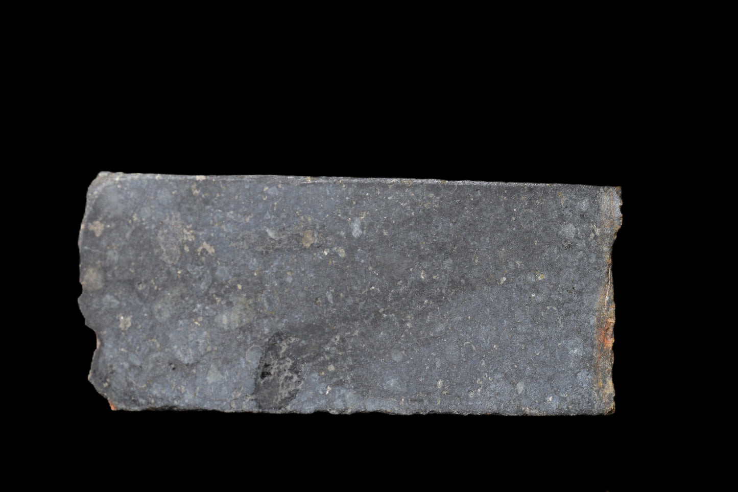 NWA 14224 LL3 meteorite slice weighing 5.60 grams, showcasing a dark exterior and metallic interior, from Buy Meteorite, LLC.