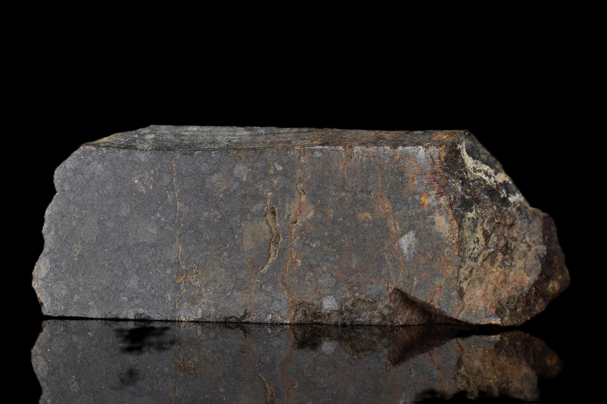 NWA 14224 LL3 meteorite slice weighing 5.82 grams, showing metallic and rocky textures, from Buy Meteorite, LLC.