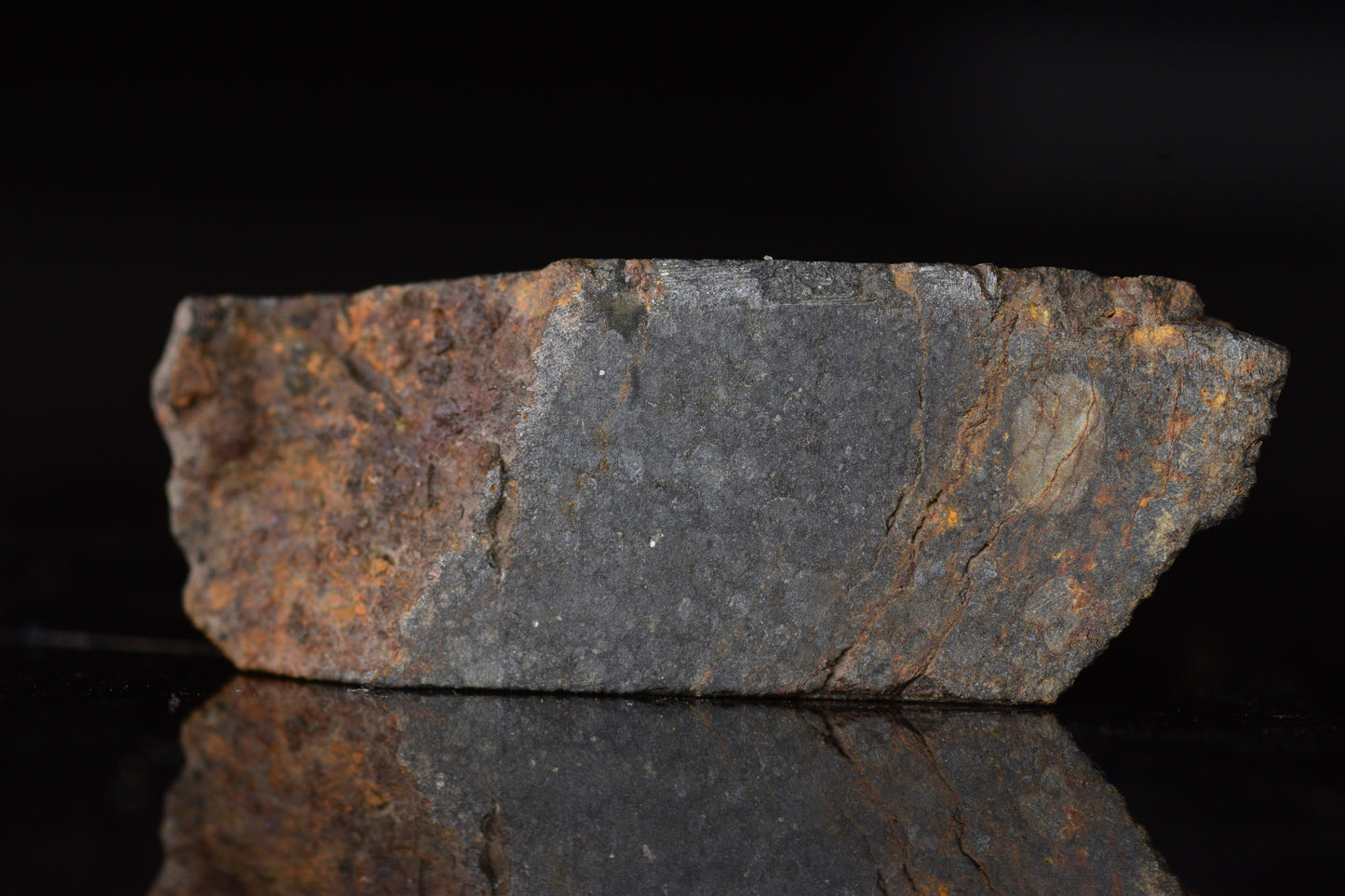 Close-up of NWA 14224 LL3 meteorite slice showing dark fusion crust and metallic mineral inclusions, weighing 5.82 grams.