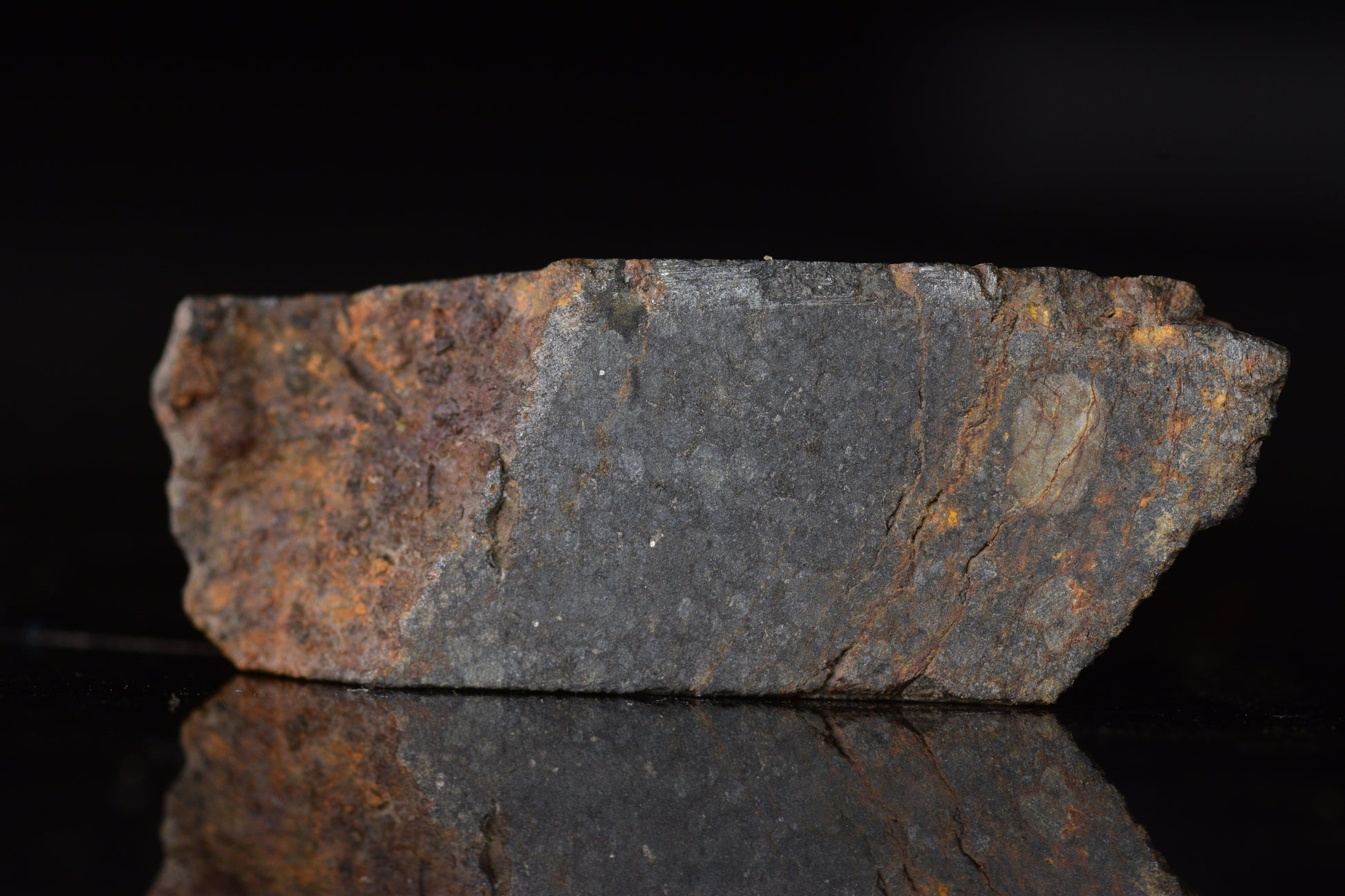 Close-up of NWA 14224 LL3 meteorite slice showing dark fusion crust and metallic mineral inclusions, weighing 5.82 grams.