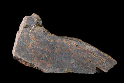 NWA 14224 LL3 meteorite slice weighing 5.95 grams, showing metallic and rocky textures, from Buy Meteorite, LLC