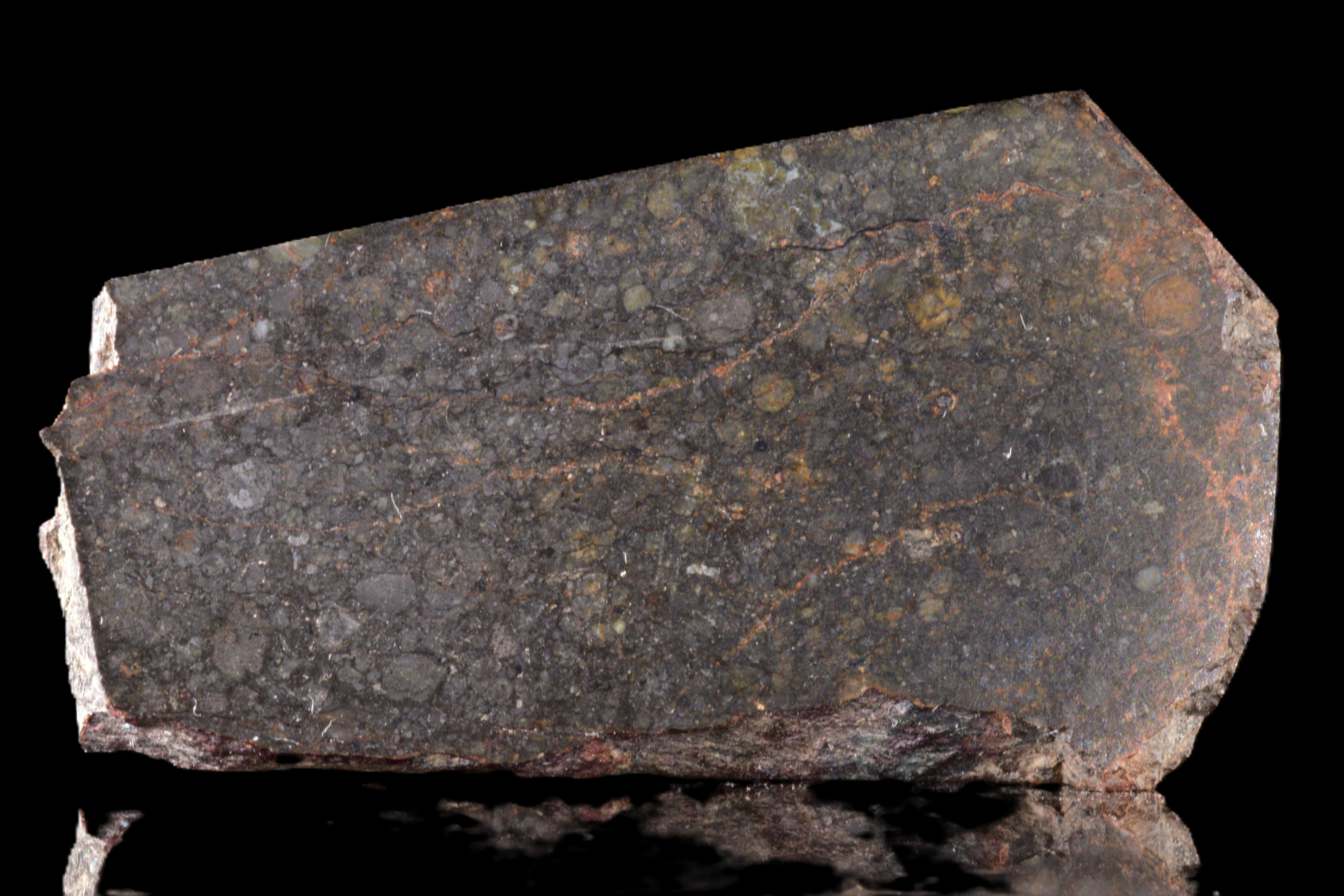 NWA 14224 LL3 Meteorite Slice 6.55g | Buy Meteorite LLC