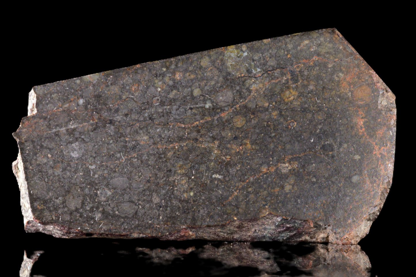 NWA 14224 LL3 meteorite slice, 6.55 grams, with metallic and rocky textures, from Buy Meteorite, LLC.