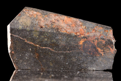 NWA 14224 LL3 meteorite slice weighing 6.55 grams, featuring dark fusion crust and metallic mineral inclusions.